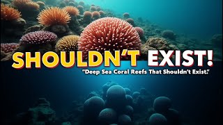 Scientists Found Secret Coral Cities Deep in the Ocean!