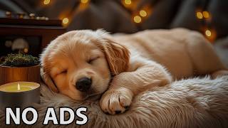12 Hours Dogs Calming Music 💖 Dog Music & Dog Soft Audio For Stress Relief  -  Peaceful Dog Behavior screenshot 2