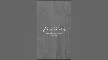 الحج أشهر معلومات || سورة البقرة#ناصر_القطامي