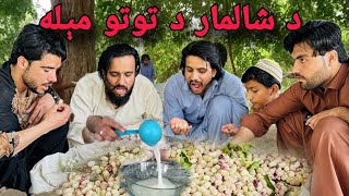 کندهار د شالمار د توتو مېله | picnic to shalimar