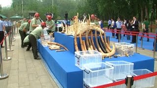 China Shuts Down One Third of Its Ivory Factories, Retail Stores