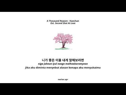HAECHAN NCT- A Thousand Reasons || Second Shot At Love OST PT. 3 // Sub Indo