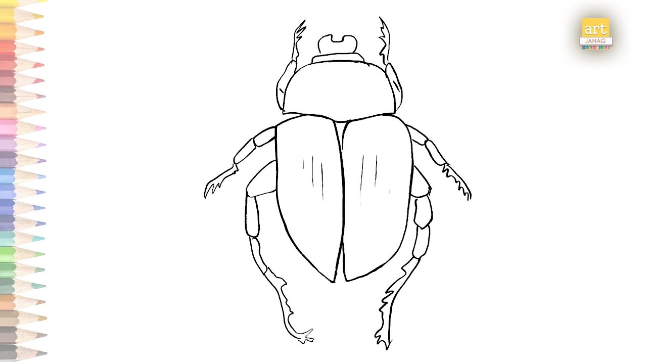 Scarab Beetle Drawing easy  How to draw A Beetle STEP BY STEP  YouTube