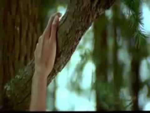  وائل جسار لمين هعيش