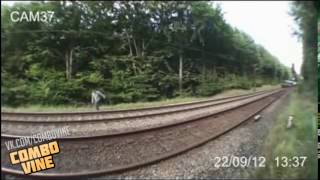 Combo Vine #494Combo Vine15