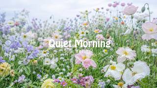 A Quiet Morning After Rain ☁️🌿 | Soft Piano for Relaxing, Studying & Reading screenshot 1