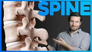 The Terrible Design of the Human Spine | Corporis