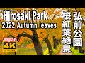 4K 2022 弘前公園の紅葉 Autumn leaves of Hirosaki Park 弘前城 弘前観光 青森観光 青森旅行 紅葉の名所 桜紅葉 紅葉の名所 Hirosaki Castle