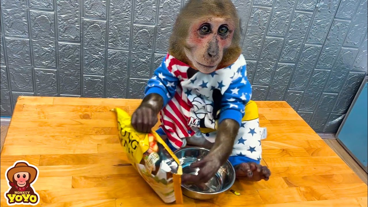 Dad cooks pho for YoYo JR eat