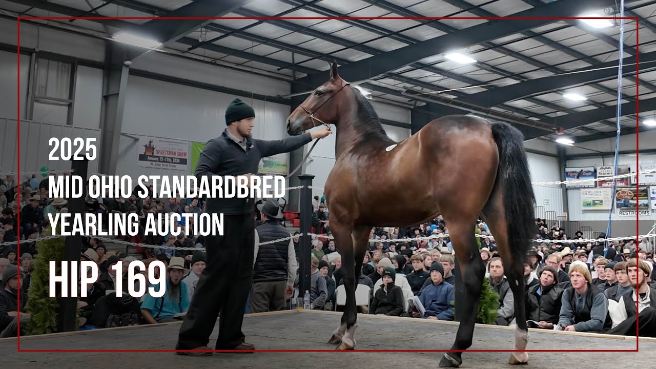 競馬Carrot Club Yearlings 2025 2025 Yearlings – Jayport Farms