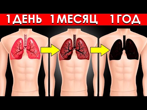 Что Произойдет с Телом, Если Курить Каждый День (Шокирует)