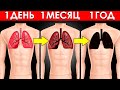 Что Произойдет с Телом, Если Курить Каждый День (Шокирует)