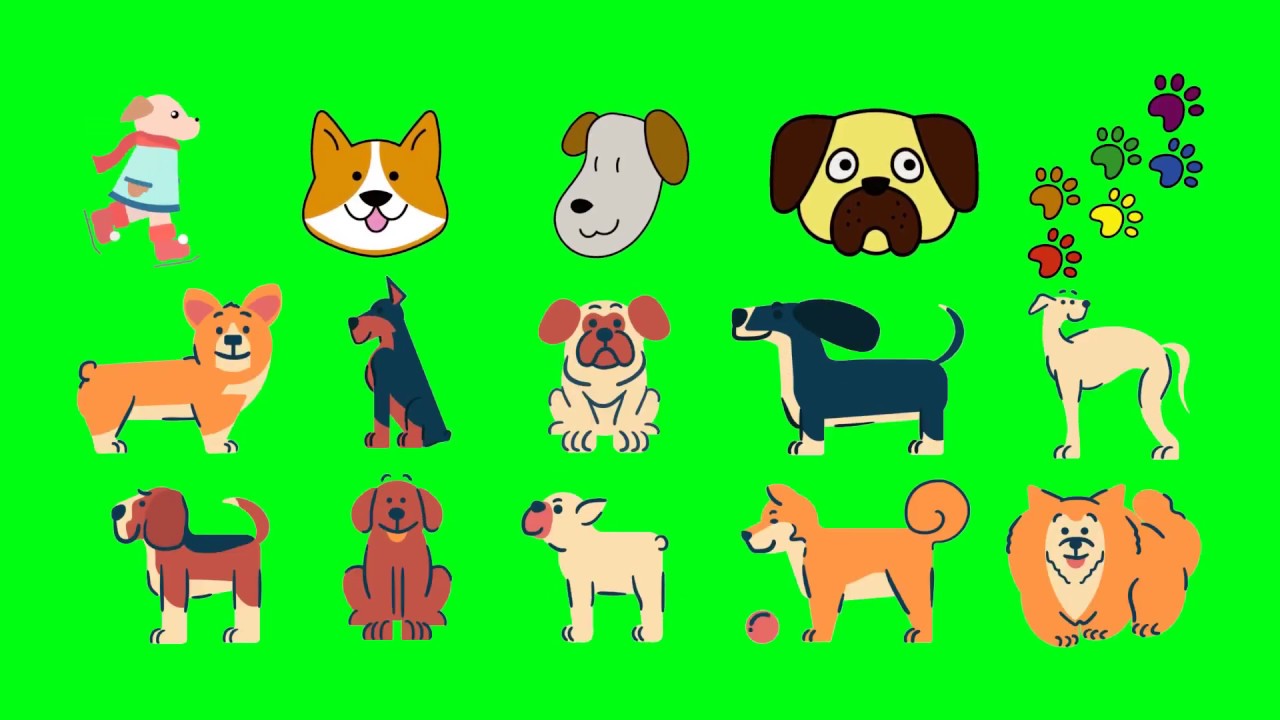 🐶 Cute ANIMATED DOG Green Screen 🐕🐩