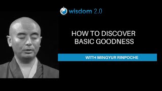 True Meditation with Mingyur Rinpoche & Richard Davidson