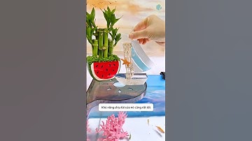 Thực sự tiện lợi khi có chiếc kệ đa năng đặt góc bể cá #aquatic #shorts