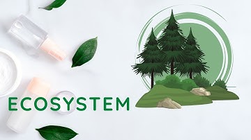 Exploring the Intricacies of Ecosystem Dynamics: A Deep Dive into Nature