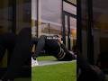 Dumbbell only glute workout #gluteworkout #dumbellsworkout #strongwomen #activebymary #homeworkout