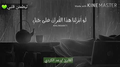 قران كريم بصوت القارئ/ رعد الكردي..حالات واتس اب