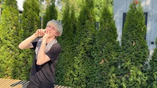 BUBBLE BAPE - Sangria Music (snippet)