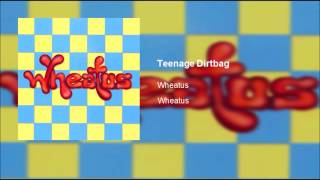 Wheatus - Teenage Dirtbag (Clean)