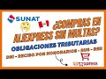 Cmo importar de aliexpress este 2024  sin multas sunat  ruc