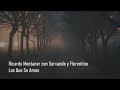 RICARDO MONTANER ft. SERVANDO Y FLORENTINO - Los Que Se Aman