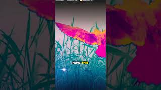 Creating effective pop up buttons for WhatsApp Forms for websites