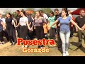 🔴 Posestra kod Goražda - Mene vole samo policajci - YouTube Bosanski teferič