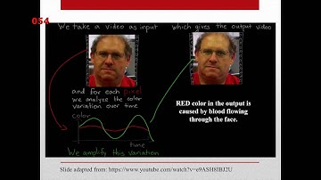 Eulerian Video Magnification as a Psychophysiological Measure for Pain