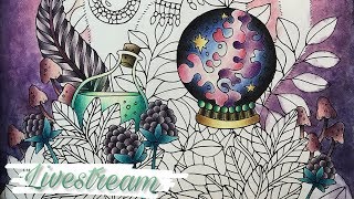 LIVESTREAM: The witchs cat pt. 1