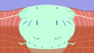 Peppa Pig - Please Hold My Gles Mommy Pig Sparta Klasky Csupo 2001 Effectsnew Project