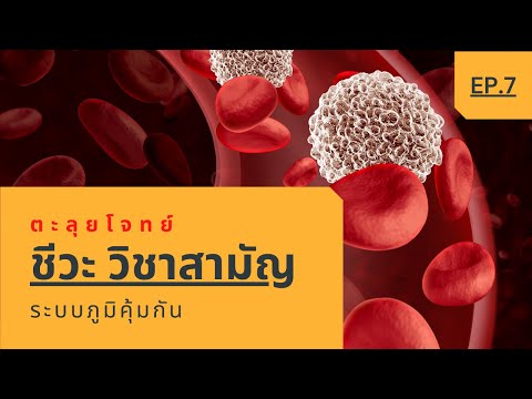 ตะลุยโจทย์ชีวะ-9วิชาสามัญ EP.7 (ระบบภูมิคุ้มกัน)