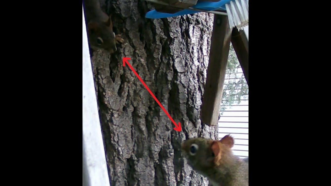 Water rights dispute