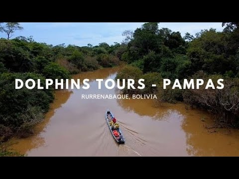 pampas tour dolphins