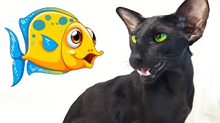 Oriental Shorthair Cat Eating Salmon by Oriental Cats Rexton & Bella 1,649 views 2 years ago 2 minutes, 26 seconds