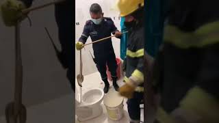 Iban a entrar al baño y del sanitario salía una serpiente, en una casa en Sahagún, Córdoba