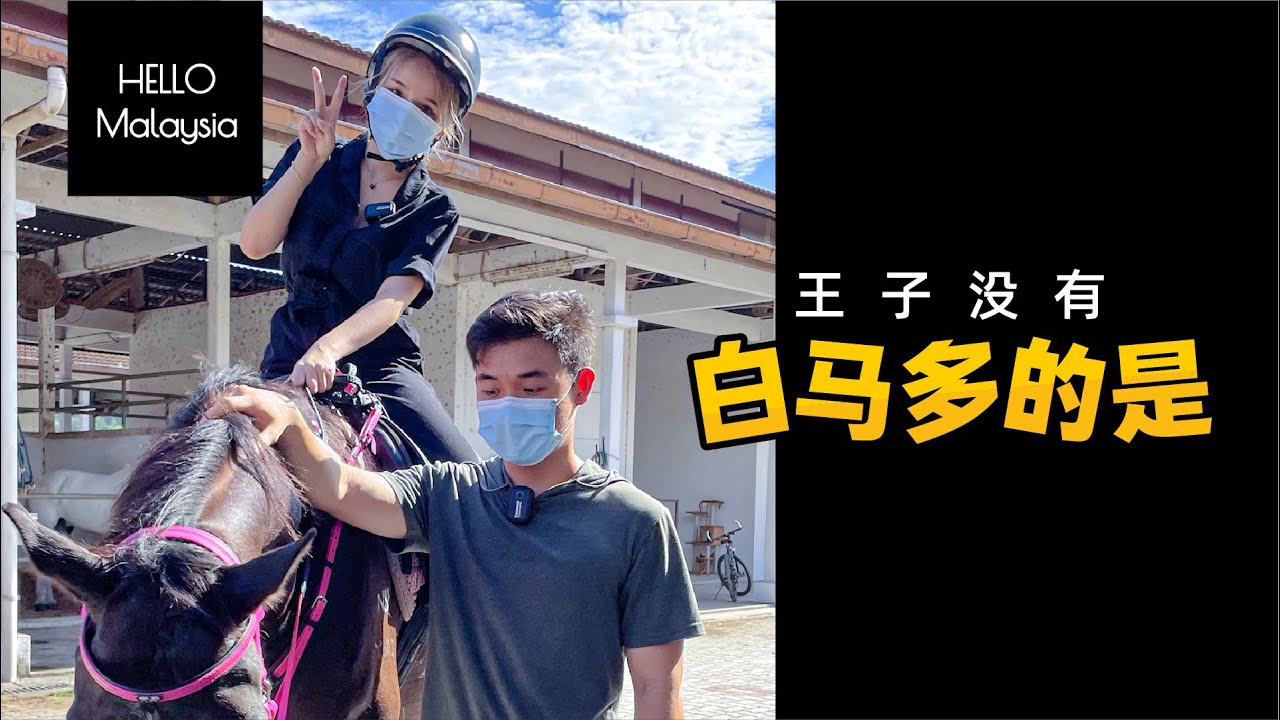 王子没有，白马多的是