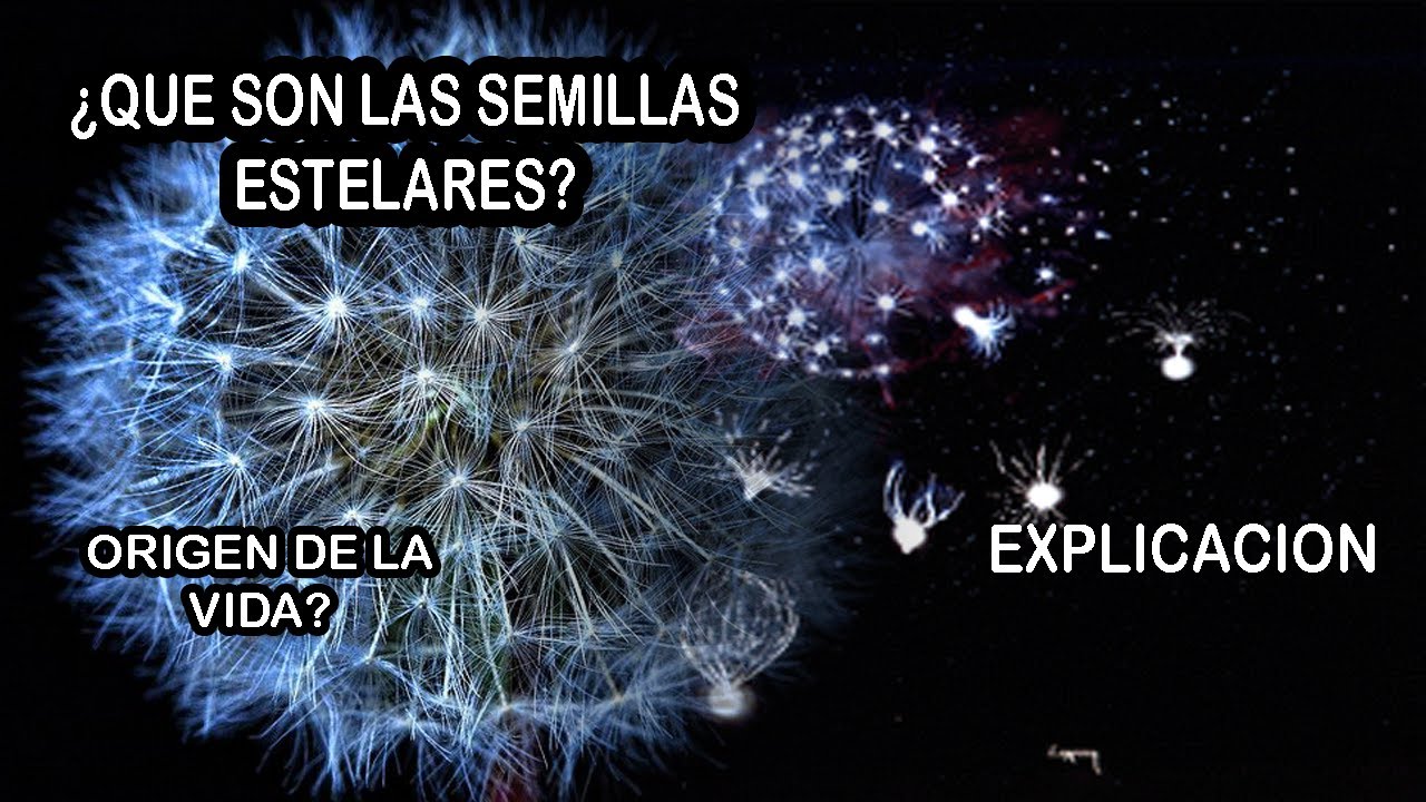 ¿ Que son las semillas estelares? Origen de la vida | Explicación - YouTube