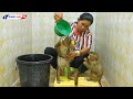 Obedient Animal | Smart Baby Monkey Kako And Luna Taking Bath On Chair