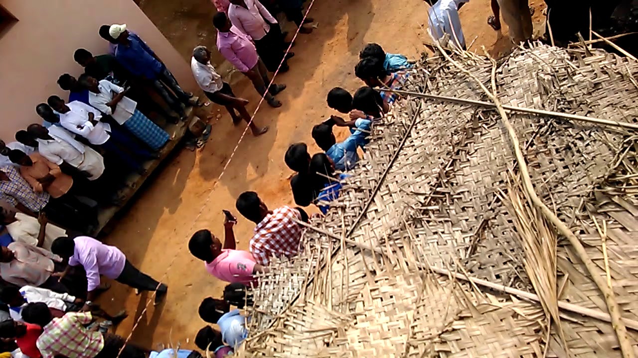 jallikattu bandarlapalli