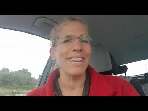 סרטון וידאו
