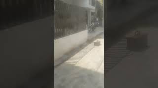 balkani relling #viral #walding #song #love #handheld #vlog