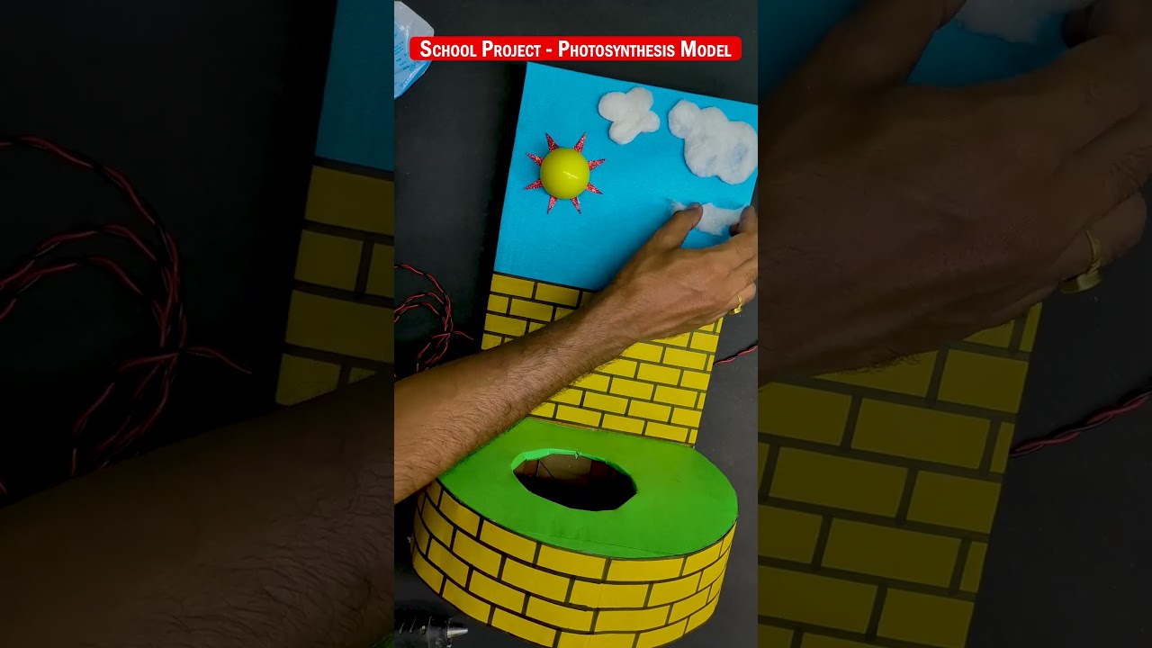 Photosynthesis 3D Model | science project #shorts