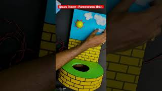 Photosynthesis 3D Model | science project #shorts