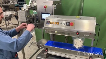 RPM Packaging Machinery - RPM Linear Weighing Station - Frozen Dumplings