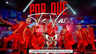 Video thumbnail of "Video Clip Por que te vas"