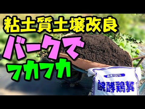 【失敗のない土づくり】バークだけでカチカチどろどろ粘土質をフワフワに土壌改良できる。元肥は100円鶏糞【家庭菜園】