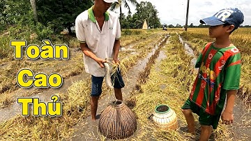 Cao Thủ Săn Bắt Cá Theo Máy Cắt Bội Thu, Cá Chiên Giòn Chấm Mắm Bần/Catch The Fish/NGÃ NĂM TV