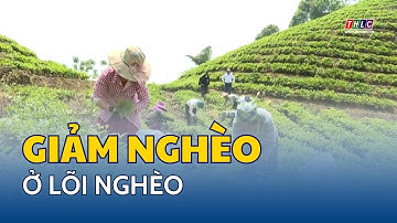 Mường Khương nỗ lực giảm nghèo ở lõi nghèo | THLC