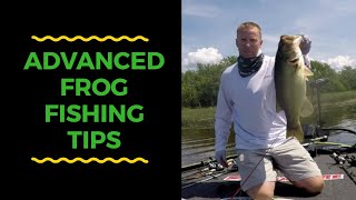 Tips for Bass Fishing with Frogs